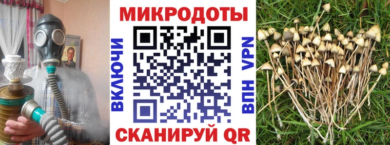 Галлюциногенные грибы мухоморы  Купить где  Приволжский 